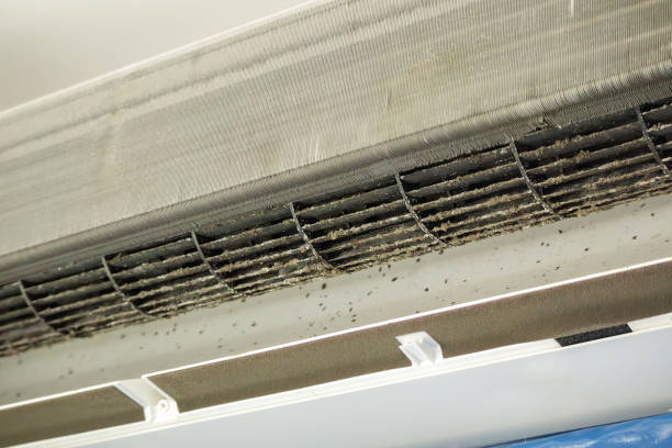 Best Professional Duct Cleaning Services  in Hayesville, OR